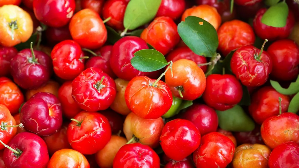 Bright red acerola-style cherries
