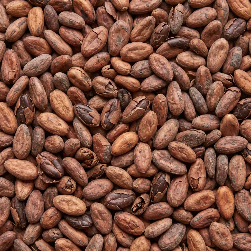 Cacao beans and pods